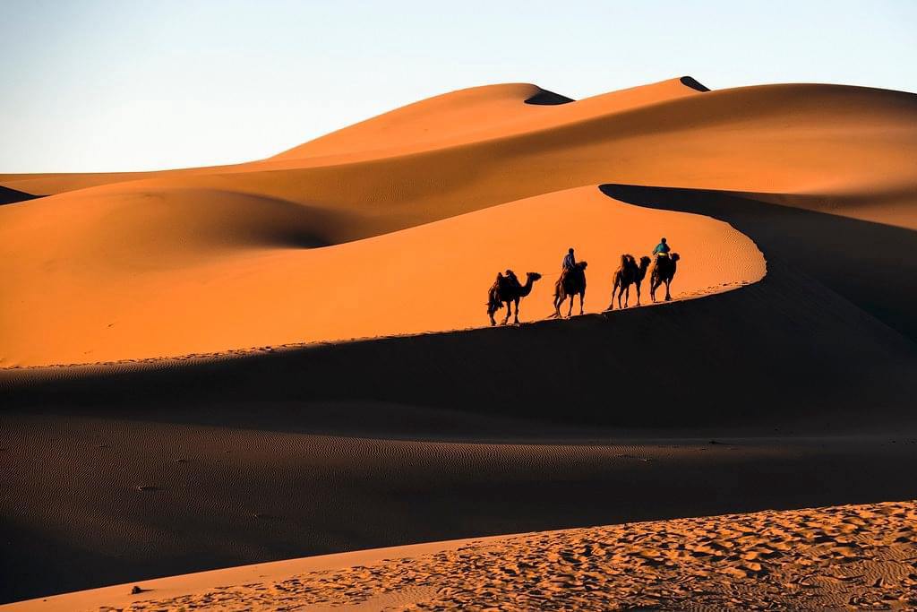 Gobi Desert Tour